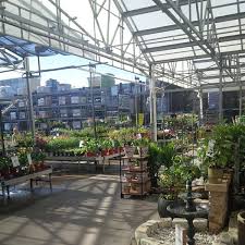 View deals for legacy vacation resorts palm coast, including fully refundable rates with free cancellation. Lowe S Hardware Store