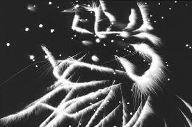 Изучайте релизы alain hubert на discogs. Pierre Alain Hubert Home Facebook