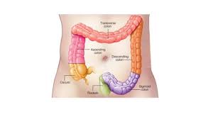 And thanks to her dedicated mayo clinic team and timely lung cancer treatment, sheila's outlook is very good. Symptoms Of Colorectal Cancer Video South Florida Reporter