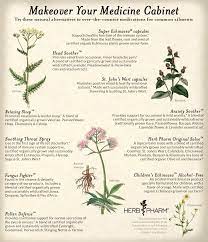 Is Your Medicine Cabinet Ready For A Do Over Plantpower Wellness Mightyherbs Http Www Herb Pharm Com Medicine Cabinet Makeover Medicinal Tea Plant Powers