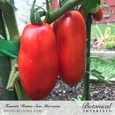 Image result for tomato San Marzano