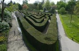 Hampton Court Palace Surrey England The Maze At Hampton Court Palace Was Created In 1702 It S Hampton Court Hampton Court Palace Hampton Court Palace Maze