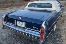 Image result for White 1983 UMM