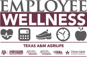 employee wellness initiative