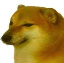 .doge meme during the activity period will get a chance to win $1,000 in doge tokens via lucky collect all four different puzzle pieces on the activity page to unlock the final doge meme and. Pin By Sandia Feliz On Meme Stupid Memes Image Memes Meme Pictures