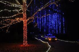 10 Botanical Gardens With Wow Factor Winter Transformations Gardens Of The World Garden Of Lights Botanical Gardens