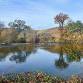Birding the Mokelumne River Fish Hatchery