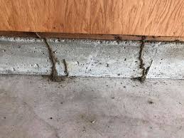 Dayton pest control, llc, huber heights, ohio. Dayton Pest Control Llc Posts Facebook