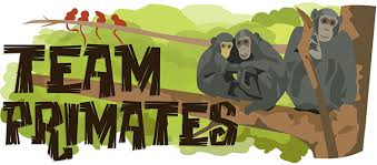 The primates are an ancient and diverse eutherian group, with around 233 living primates radiated in arboreal habitats, and many of the characteristics by which we recognize them today ( shortened. Primate Cooperation Ask An Anthropologist