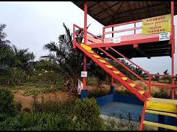 Bagi kamu yang belum mengetahuinya, berikut ini akan kami ulas 9 kolam renang di surabaya yang bagus, yang murah, hingga yang sepi, yang bisa menjadi tujuan berlibur kamu di akhir. Mega Jaya Warjok Garden Youtube