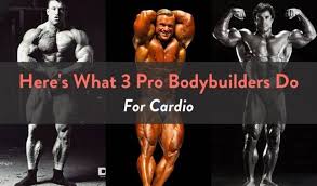 Check spelling or type a new query. Here S What 3 Pro Bodybuilders Do For Cardio Fitbod