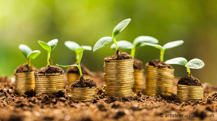 Financial Planning & Investments