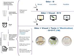 A Stepwise Approach Investigating Salivary Responses Upon Multisensory Food Cues Sciencedirect