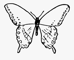 Sketsa kupu kupu adalah salah satu gambar dasar dini yang belum jadi, umumnya ia digoreskan dengan menggunakan media pensil dan sejenisnya. Symmetry Moth Moths And Butterflies Gambar Sketsa Kupu Kupu Free Transparent Clipart Clipartkey