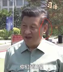 okav.com | AI-赵丽颖-被偷看了呢.xpm - Search  X