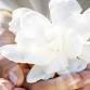 Relax and Renew with Ayurveda event in Grass Valley, CA