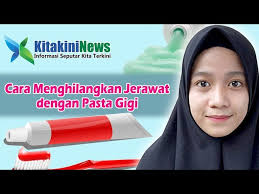 Berikut cara untuk menghilangkan jerawat di kulit secara alami Cara Menghilangkan Jerawat Dengan Pasta Gigi Udah Coba