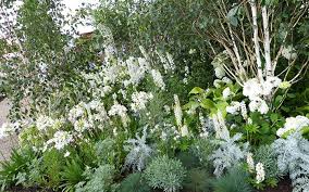 Some of the most exotic scented flowers are night bloomers! White Garden The Best Plants To Create A White Border