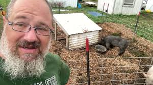 A No Smell Pig Pen! A how too.