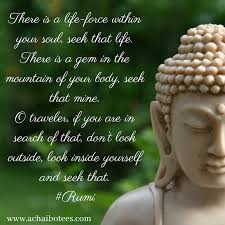 There Is A Life Force Within Your Soul Seek That Life There Is A Gem In The Mountain Of Your Body Seek That Mine O Traveller The Outsiders Body Life Force