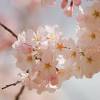 You can express your hidden feelings through. Https Encrypted Tbn0 Gstatic Com Images Q Tbn And9gcqguo6esy0iymvckz Qkx3uzgbdk 6riptv5w6xqnilwz55hteu Usqp Cau