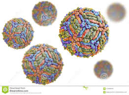 West Nile Virus Wnv Stock Illustration Illustration Of Health 123306353