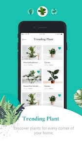 For some users, it'll be excessive but for those keen to cultivate their green space, it's a huge help. Download Plantfinder Plant Identification Free For Android Plantfinder Plant Identification Apk Download Steprimo Com