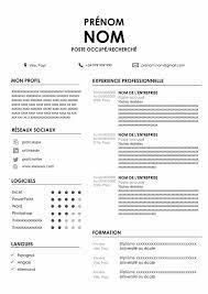 Modèle de cv sans photo : Modele De Cv Sans Photo A Remplir Exemple Cv Gratuit