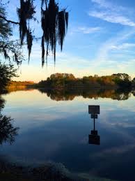 The world class wireless standard. Lake Alice At Sunset On The University Of Florida Campus Photo P Marlin Florida Photography Florida University Of Florida