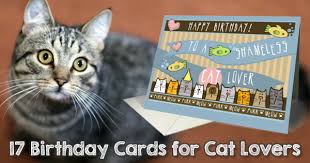 Where do you get a birthday present for your cat? 17 Birthday Cards For Cat Lovers
