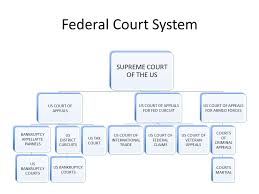 Structure Of The Courts Ms Newell