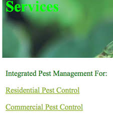 Check spelling or type a new query. Green Planet Pest Control 72 Reviews Pest Control 267 N Beacon St Brighton Ma Phone Number