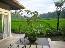 Rest In True Luxury With Stunning Rice Homeaway Gianyar Regency Tropical Houses Ubud Villa