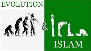 images?q=tbn:ANd9GcSVdVF3qev41TKe3p0zbJ8TpDktusKHeMSpAMQqZN9QtRej1AOa-g