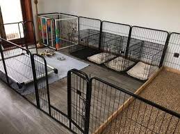 Dog Kennel Kitchen Island Dog Kennels Large Dogs Outside Dogmom Dogsarefamily Dogkennel Indoor Dog Kennel Dog Kennel Dog Breeding Kennels