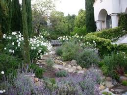 Mediterranean Landscape Iceberg Roses Lavender Rosemary Succulents Mediterranean Garden Mediterranean Landscaping Mediterranean Garden Design