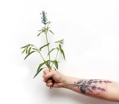 Check spelling or type a new query. Flower Tattoos And What They Symbolize Petal Talk