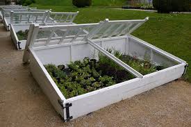 It is typically built very low to the ground with a transparent roof and protects the plants inside from damaging weather conditions, including heavy rains and extreme cold. What Is Cold Frame Gardening Getting Started Tips And Benefits Garden Lovers Club
