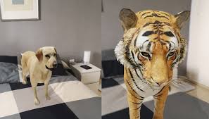 Si usted encuentra uno que este protegido por los derechos de autor, por favor infórmenos para retirarlo. Animales En 3d Dentro De Casa Asi Se Usa En Cualquier Movil