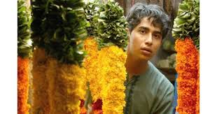 life of pi movie review