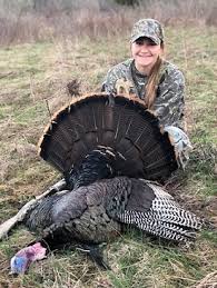 One very interesting study, indexes for aging eastern turkeys by r. Wild Turkey Nys Dept Of Environmental Conservation