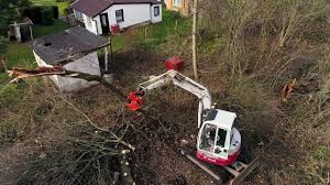 Grünes licht von der stadt münster: Pleissaer Garten Und Landschaftsbau Forstarbeiten Baufeldfreimachung Youtube