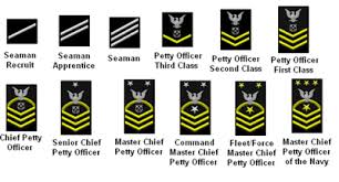 The Navy Limited Duty Officer Selection Program