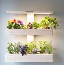 Edn Wallgarden After Shark Tank 2018 Update Smartgarden Homegarden Freshherbs Garden Gardening He Indoor Gardens Garden Shelves Vertical Garden Indoor