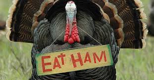 Thanksgiving jokes 2020 & puns. 50 Funny Thanksgiving Jokes And One Liners Let S Eat Cake