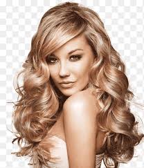 Michelle Goldberg New York City The New York Times Columnist Op-ed, goldberg,  black Hair, united States png