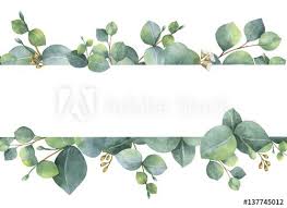 Watercolor Green Floral Card With Silver Dollar Eucalyptus Leaves And Branches Isolated On W In 2020 Floral Wreath Watercolor Wreath Watercolor Watercolor Illustration