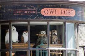 Check spelling or type a new query. Eeylops Owl Emporium Posts Facebook