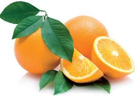 Mudas Cítricas - Frutasbella