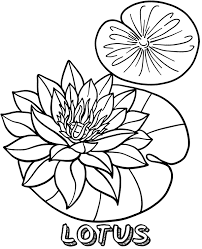 Free printable lotus coloring pages for kids. Flower Of Lotus Coloring Sheet Free Picture